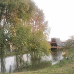 Lake View Bungalow Close to Airport