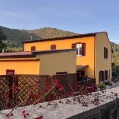 B&B La Fucinaia Pet Friendly Adults only