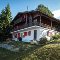 Chalet Sunnuterrasse