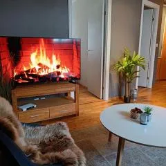 Apartment right in the city centre