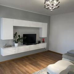 Apartament Rezydencja Metropolis ul.Dąbrowa 15