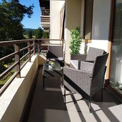 CONDOMINIO LOS CASTAÑOS ALICURA, PUCÓN, departamento 2 dormitorios, 1 baño, estacionamiento, piscina