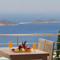 Belvedere, LaVanta, Kalkan