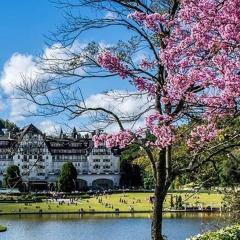 Palacio Quitandinha Linda Vista Para o Lago