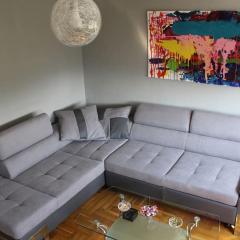Comfortable apartment near the City Center