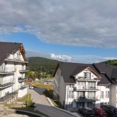 Apartament Czarna Góra STUBAI 29