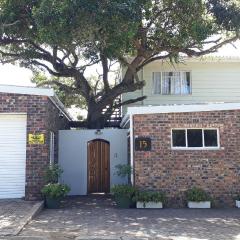 Bushmansriver Tree-House