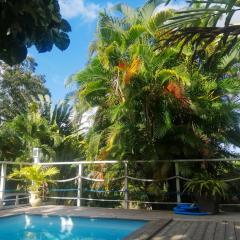 Appartement de 2 chambres avec piscine partagee jardin amenage et wifi a Riviere Pilote a 4 km de la plageB