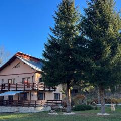 The View Sinaia-Busteni