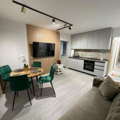 Oxana Apartments - 3 camere - Timisoara