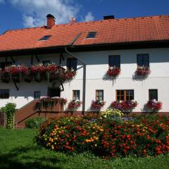 Bauerborchardt - Urlaub am Bauernhof bei Familie Borchardt