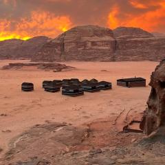Bedouin host camp& with tour