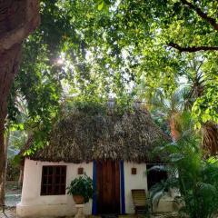 Cabañas Pájaro Azul