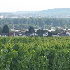 Ferienwohnung Weingut Leis