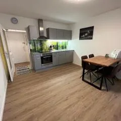 Modernes 4er Apartment in Skilift-Nähe