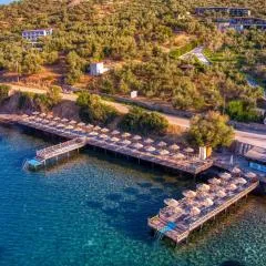 Assos Dionysos Special Class Hotel Adults Only 12 years