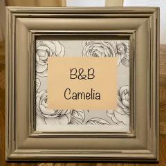 B&B Camelia