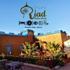 Riad Dades Birds