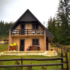Guest House Đina