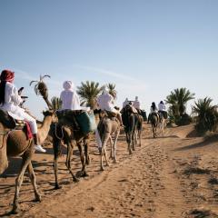 CameLuxe Camp