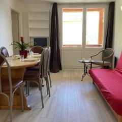 Confortable T2 à 20m des pistes, 6 pers, avec WIFI, loggia et cuisine équipée - FR-1-262-80