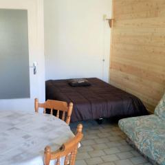 Studio cosy 2/3 pers au cœur de Briançon, proche centre-ville et télécabine - FR-1-330C-42