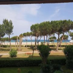 Appartement T2 en bord de mer - Terrasse - Parking - Argelès-sur-Mer - FR-1-388-31