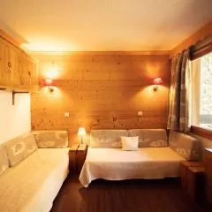 Studio divisible, balcon, animaux acceptés, casier à skis, linge de lit inclus - FR-1-291-839
