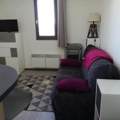 Appartement Les Adrets-Prapoutel, 1 pièce, 4 personnes - FR-1-557-75