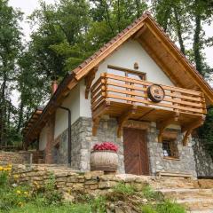 Holiday home in Novo Mesto - Dolenjska Bela krajina Unter- Weißkrain 35158