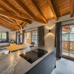 Dachstein West Apartment T4