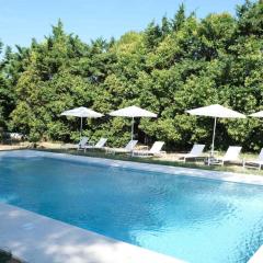 charming house with private pool in lagnes, near isle sur la sorgue, in the luberon, in Provence, for 8 people