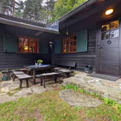 Holiday home in Edlitz in Wechselland with sauna