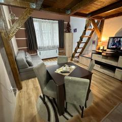 Apartman Planinski raj