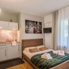 Studio cosy au pied des pistes