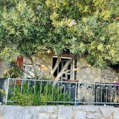 Kuća za odmor “Dida”