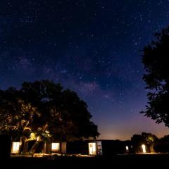 The Container Retreat @ 290 Wine Trail #5 Starry nights