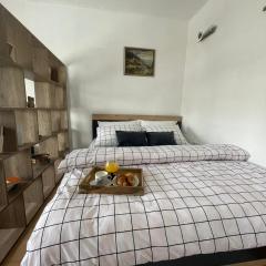 Studio apartman Galić