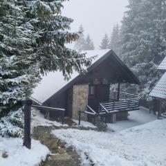 Apartment Bajta - Rogla