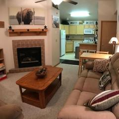 Cozy 2 BR Mountain View - walk to resort