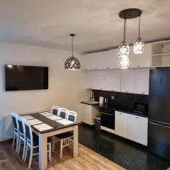 Apartament Oporowska 22