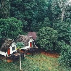 Jungle guest house