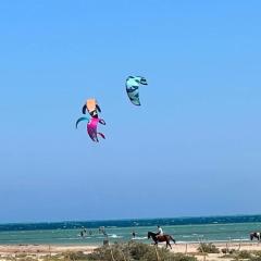 Mangroovy Gouna 1 BR apartment