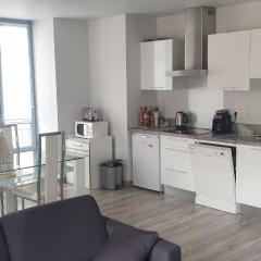 Appartement T2 45 m² en centre-ville