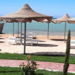 كذا بلانكا بيتش 220