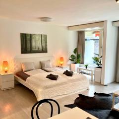 Jutta Deluxe Apartment #325