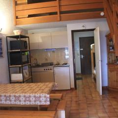 Appartement Châtel, 2 pièces, 6 personnes - FR-1-200-211