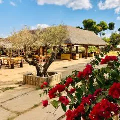 Le Chat'o Park Hotel Ivato Airport NAVETTE GRATUITE H24