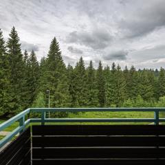 Cold Mountain Apartment in Silver Mountain Resort