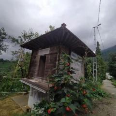 wooden mountain home with tea garden view